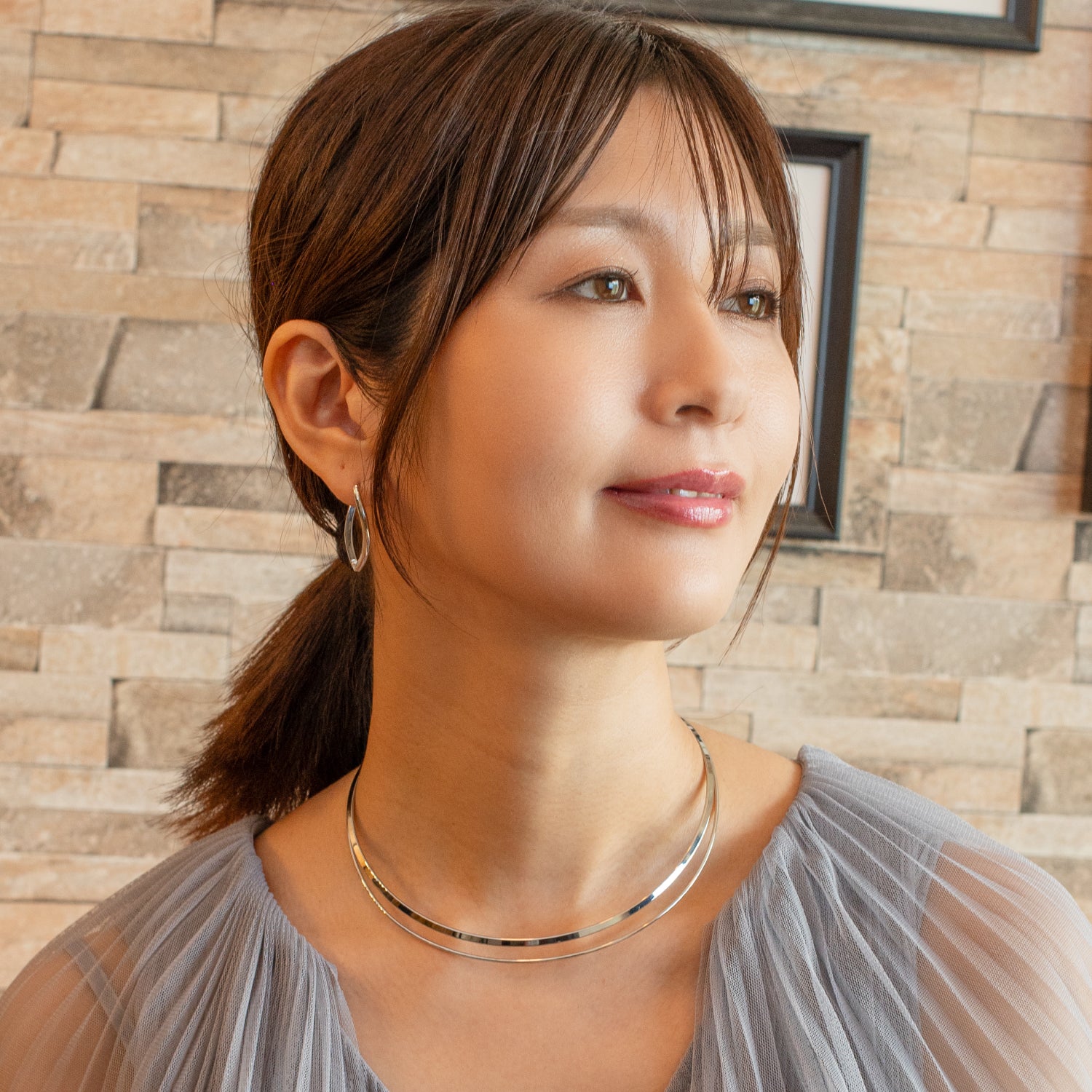 Stainless Steel Choker Silver